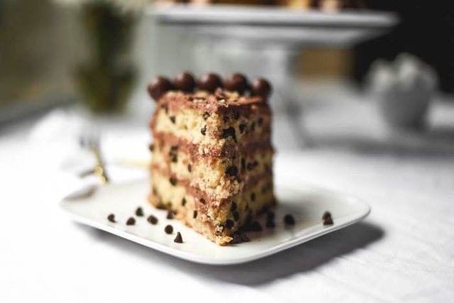 Super Moist Malted Milk Chocolate Chip Bunny Cake (6).jpg