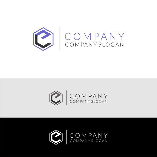 COMPANY 1.jpg