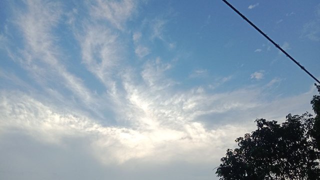 IMG_20250926_073742_067.jpg