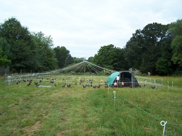 Moving pasture pen - done crop Sept. 2018.jpg