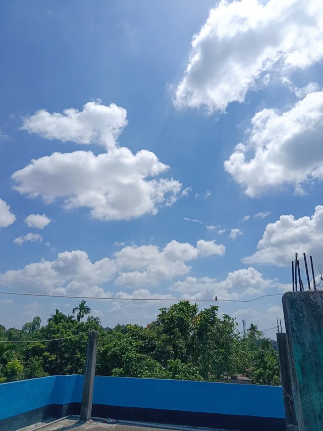 4585.jpg