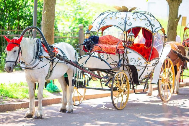 traditional-horse-coach-fiaker-europe_109800-18632.jpg