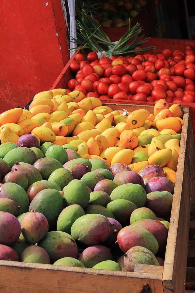 mangoes-823598_1920.jpg