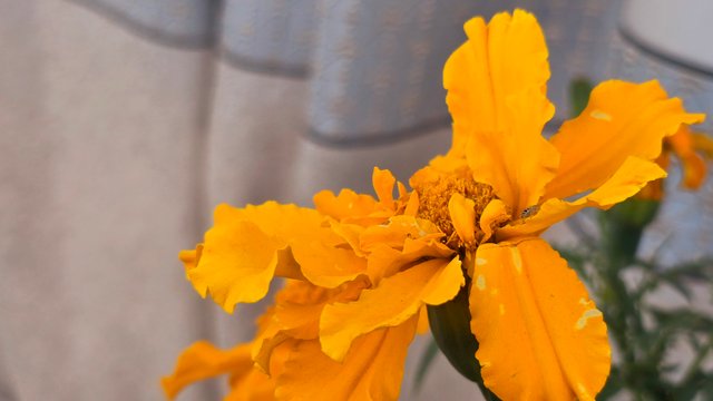 20250330_063757.jpg