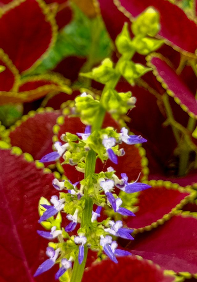 IMG20250404094318.jpg