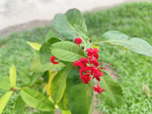 IMG_20250702_115253.jpg