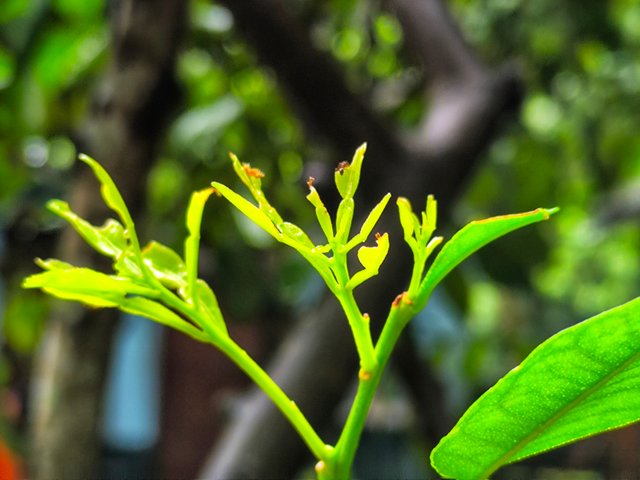 IMG_20250714_155116.