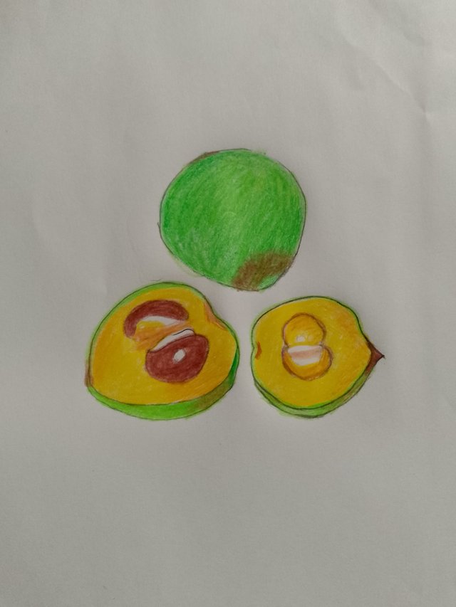 1000052013.jpg