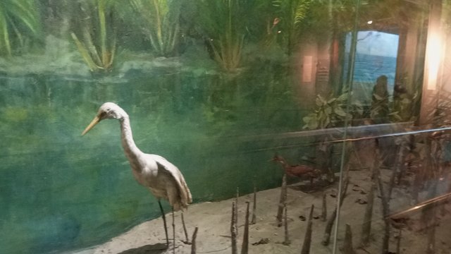IMG_20250217_121638_4.jpg