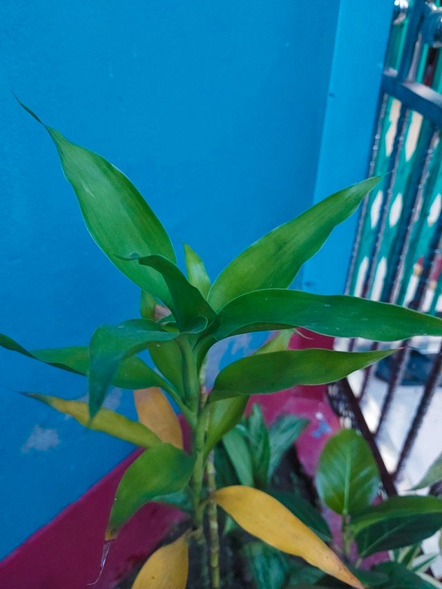 20220930_175427.jpg