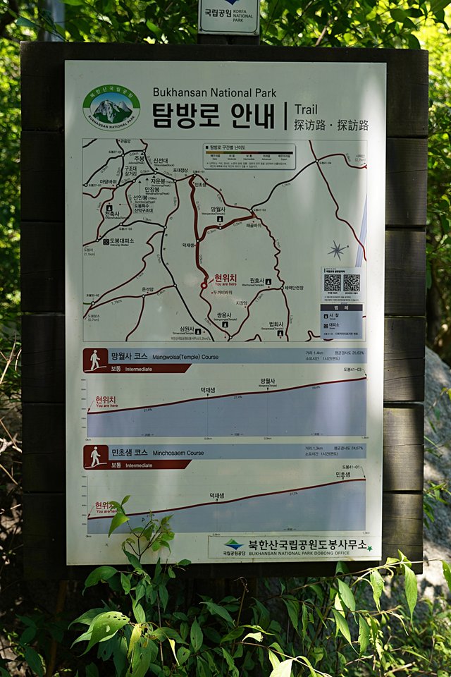b-DSC09144.JPG