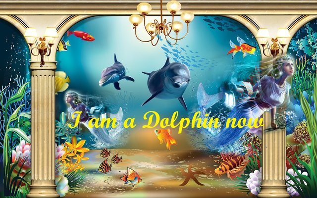 dolphin-3189577_1280.jpg