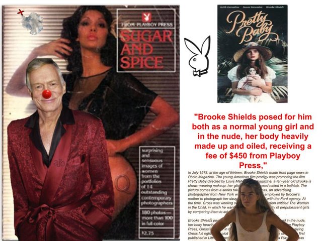 Playboy Brooke Hef..jpg