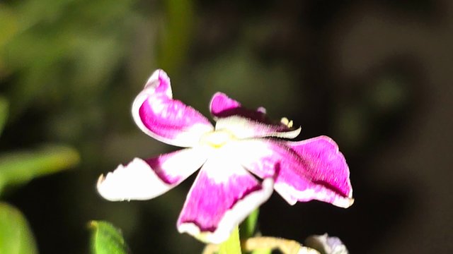 20250706_021800.jpg