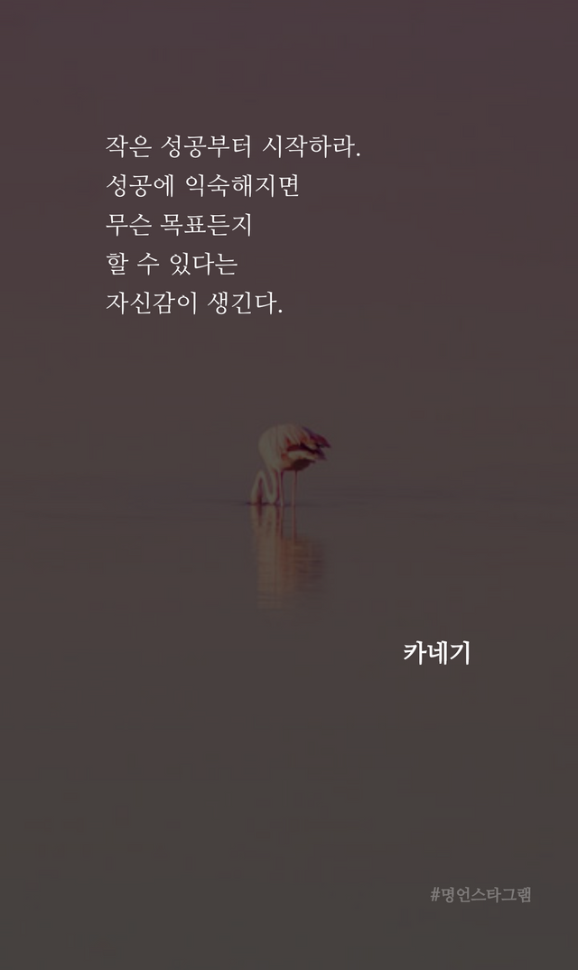 app_flutter2022-02-19 10_21_15.647634.png.jpg