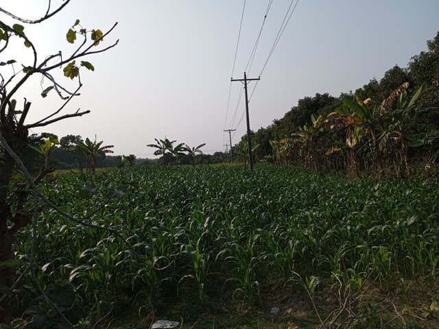 IMG_20241226_150324_762.jpg