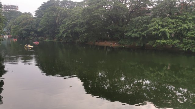 IMG_20240608_162619.jpg