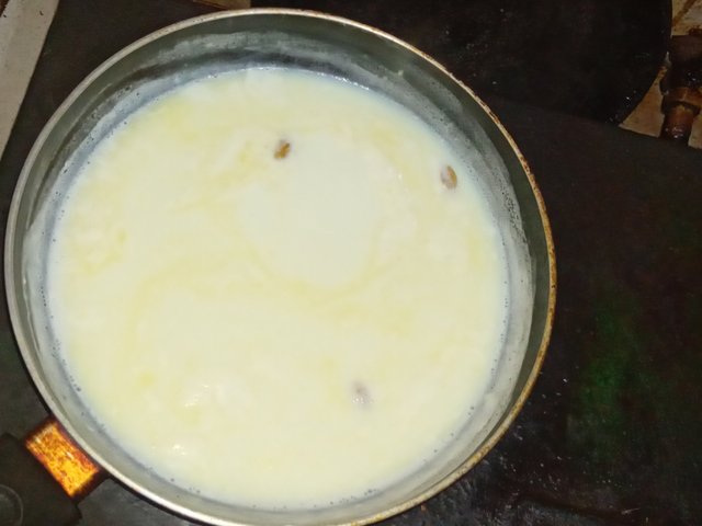 1000076849.jpg
