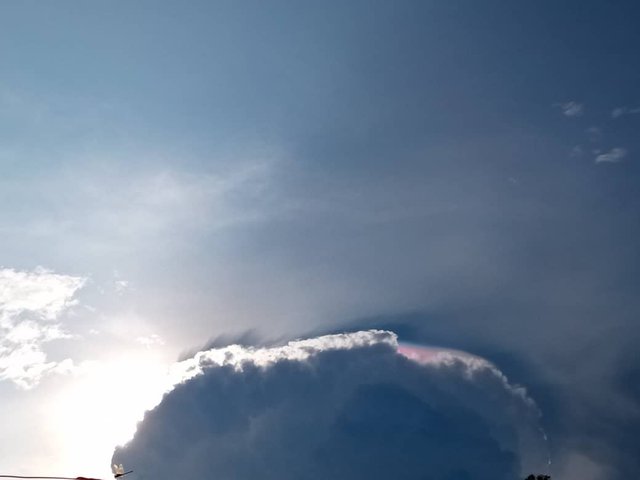 7aa75844-f6b9-4aba-98de-e3d7f61df356.jpg