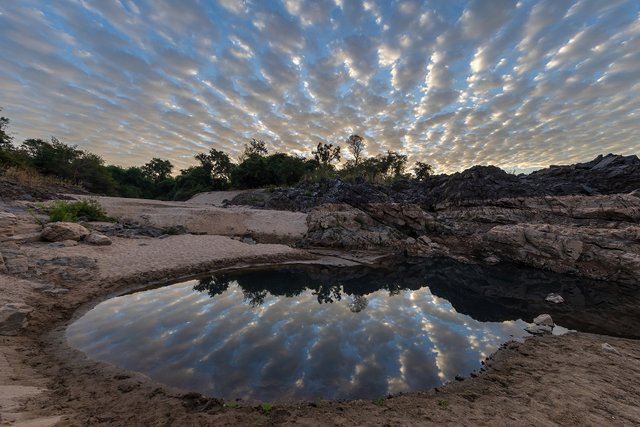 Water_reflection_of_stringy_gray_and_white_clouds_in_a_pond_on_a_sand_beach_of_Don_Khon_at_sunrise_in_Laos.jpg