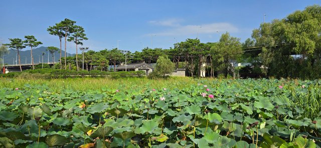 KakaoTalk_20240816_230018598_07.jpg