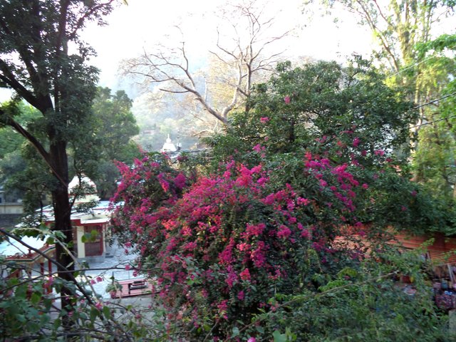 DSC01014.JPG