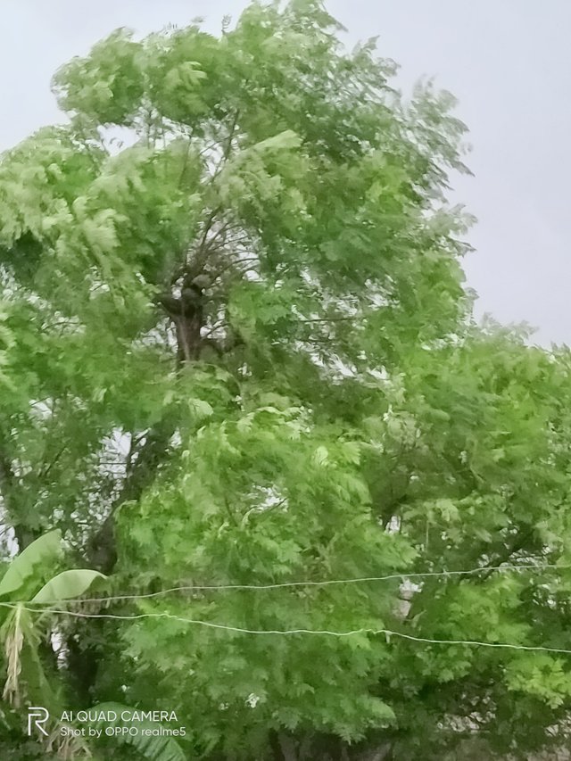 IMG20210908082504.jpg