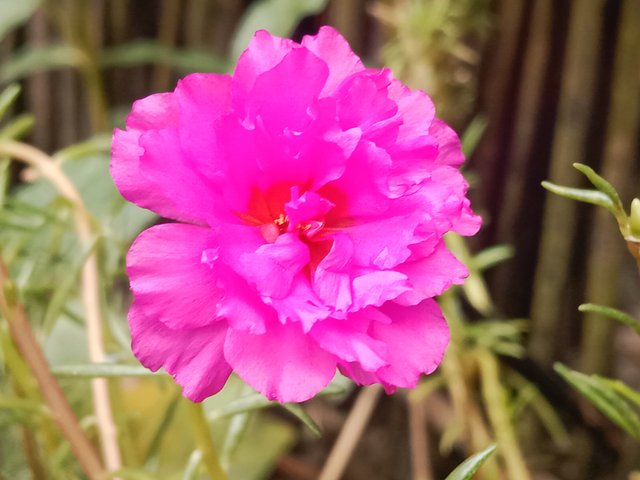IMG_20250919_100221.jpg