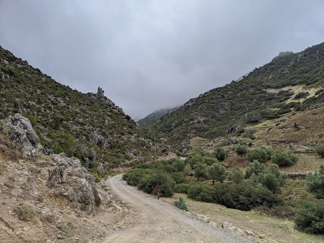 IMG_20191107_125534.jpg