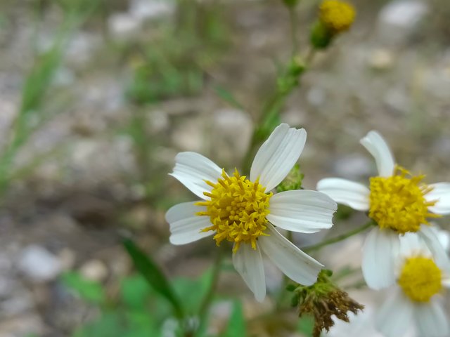 1000067451.jpg