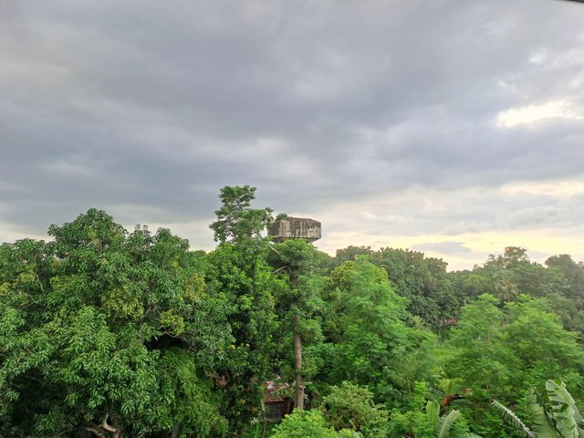 20250706_173452(0).j