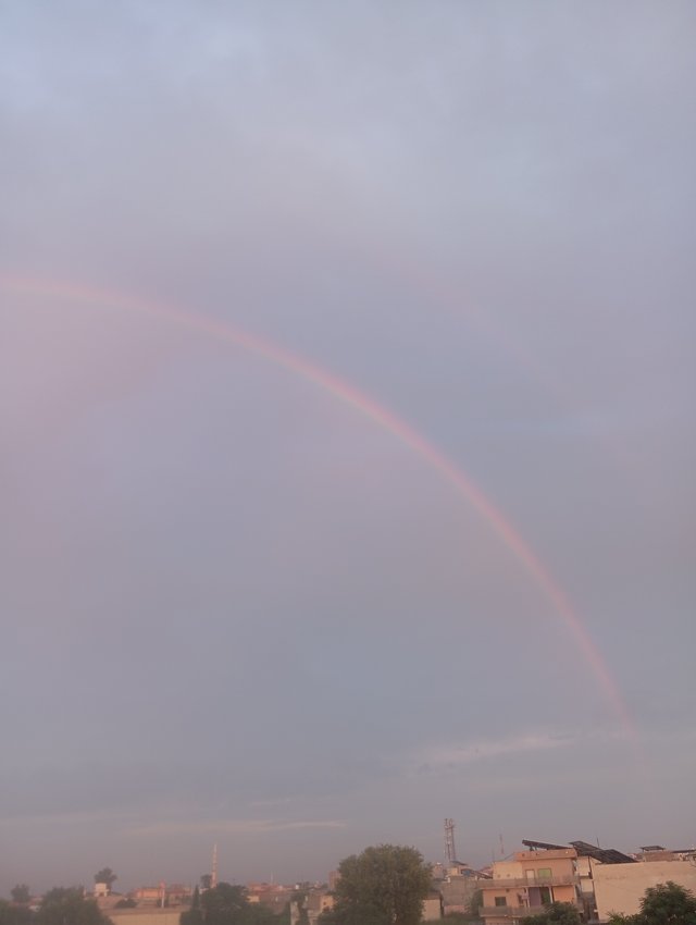 1000566507.jpg