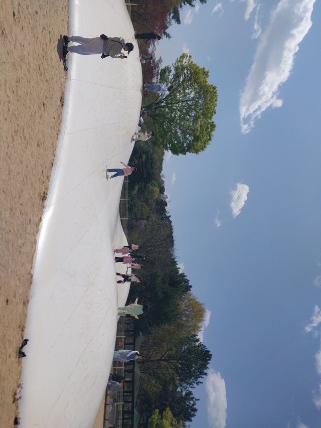 1000010599.jpg