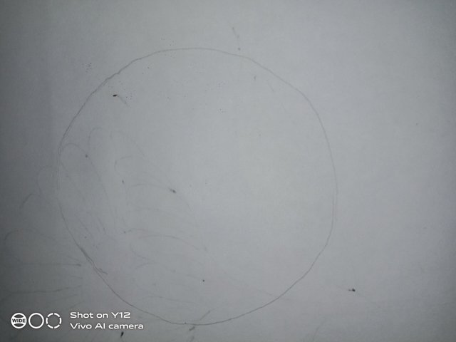 IMG_20250524_215330.jpg