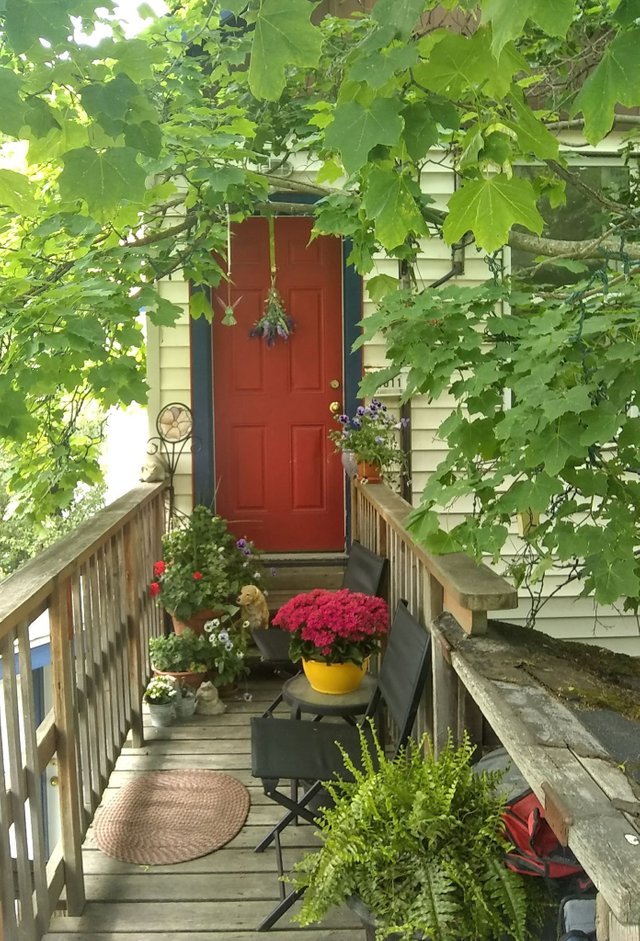 Nelson - Pretty Doorway.jpg