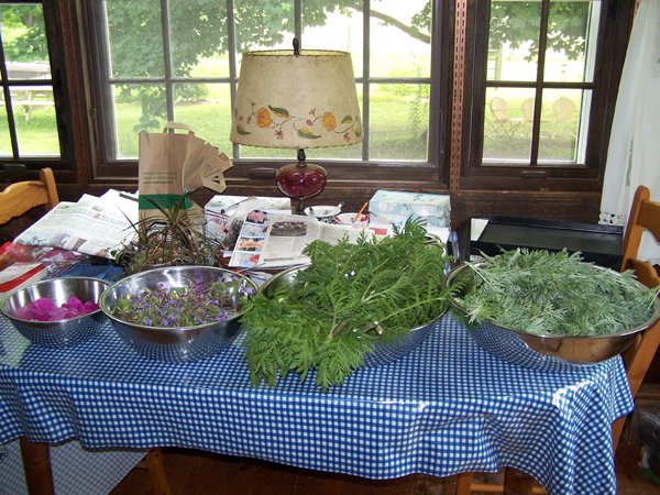 Dehydrator harvest - roses, sage flowers, tansy, wormwood1 crop June 2019.jpg