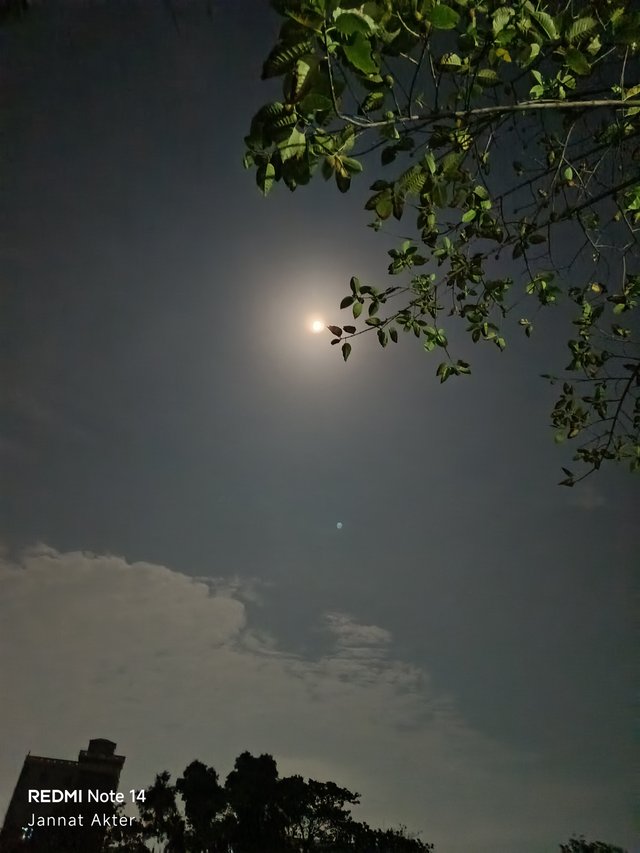 1000001986.jpg