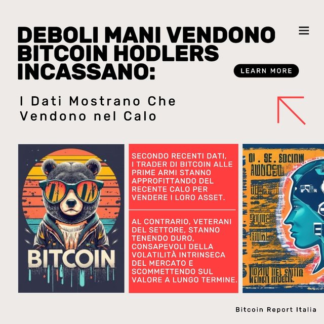 05_07 - 2 Bitcoin Principianti Hodl Hold Vendite .jpeg