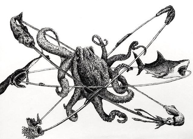 octopus-pen-drawing.jpg