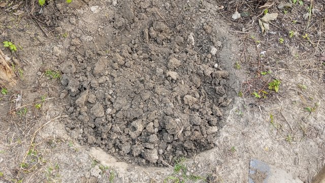 IMG_20231103_070118_7.jpg