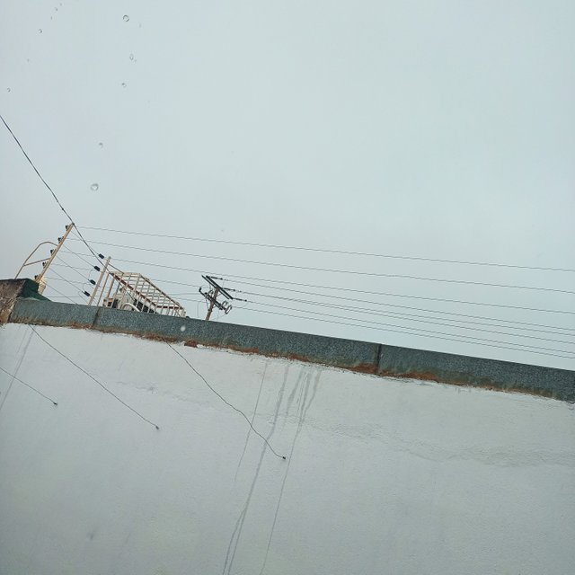 IMG_20250524_091954_226.jpg