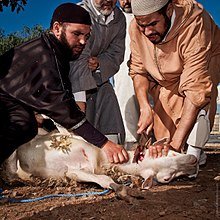 220px-2_Animal_sacrifice_at_Eid_at_Adha.jpg