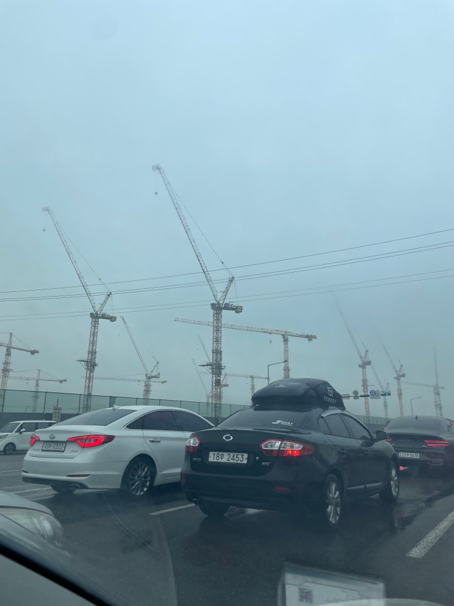 IMG_5502.jpeg