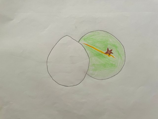 IMG_0393.jpeg