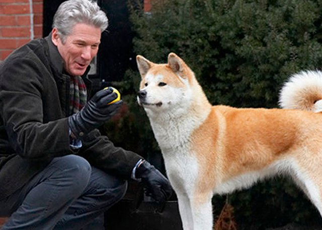 hachiko_900.jpg