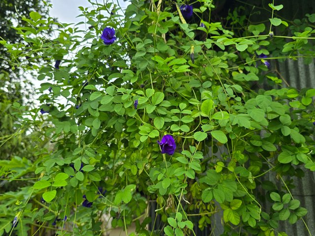 20240703_155526.jpg