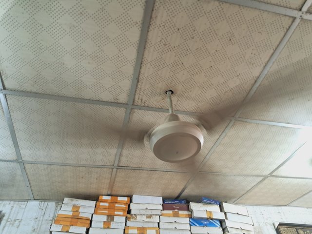 1000030819.jpg