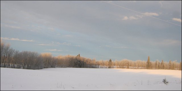 early morning light and light hoar frost sunrays coming over field.JPG
