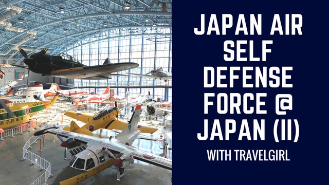 Japan Air Self Defense Force @ Japan (II).jpg