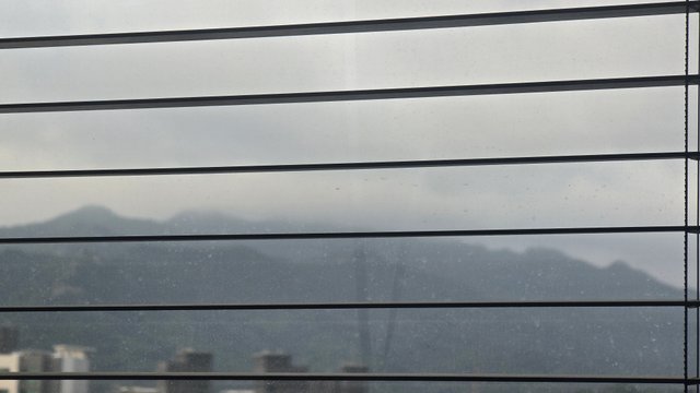 1000131169.jpg